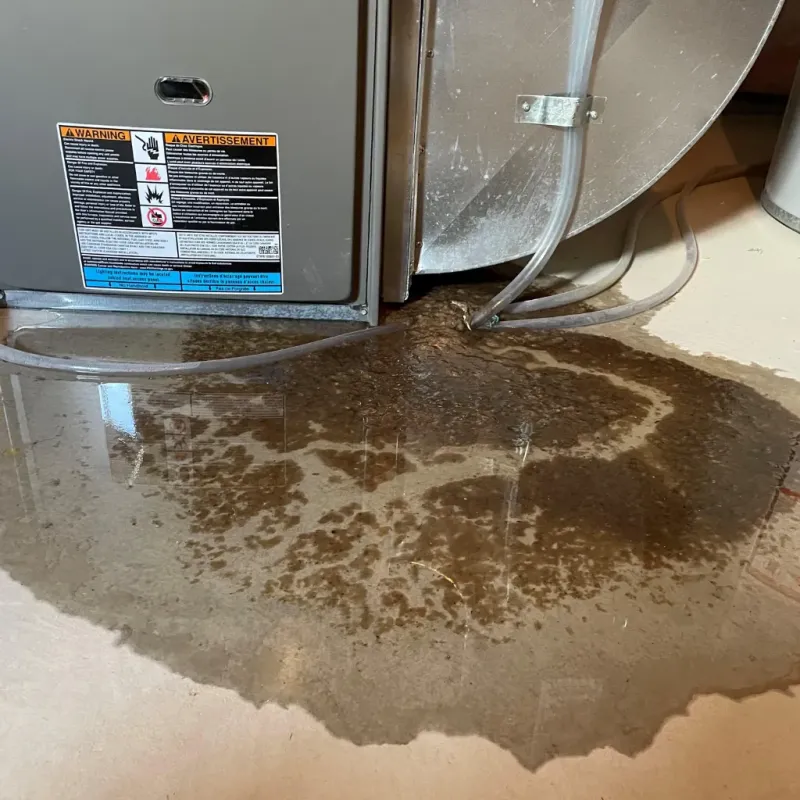 Appliance Leak Cleanup in Elmore County, AL